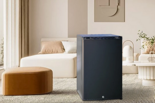 Peace of Mind in the Kitchen: A Guide to Gas Refrigerator Safety in Europe