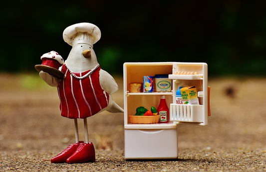 The Gas Refrigerator: A Cost-Effective Solution for Your Home